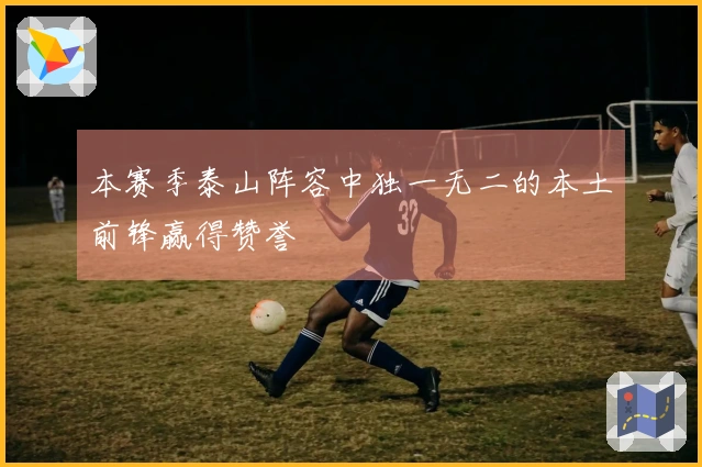 本赛季泰山阵容中独一无二的本土前锋赢得赞誉