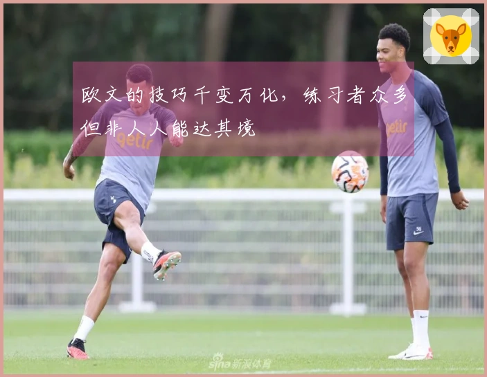 欧文的技巧千变万化，练习者众多但非人人能达其境