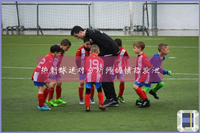 热刺球迷对分析师的愤怒发泄